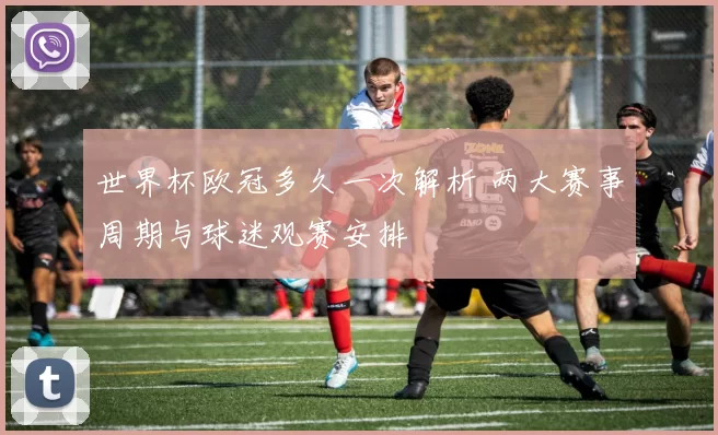 世界杯欧冠多久一次解析 两大赛事周期与球迷观赛安排