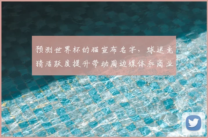 预测世界杯的猫宣布名字，球迷竞猜活跃度提升带动周边媒体和商业关注