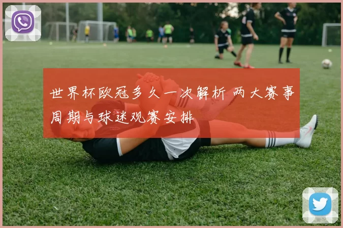 世界杯欧冠多久一次解析 两大赛事周期与球迷观赛安排
