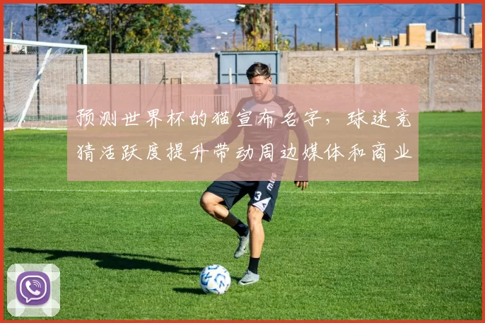 预测世界杯的猫宣布名字，球迷竞猜活跃度提升带动周边媒体和商业关注