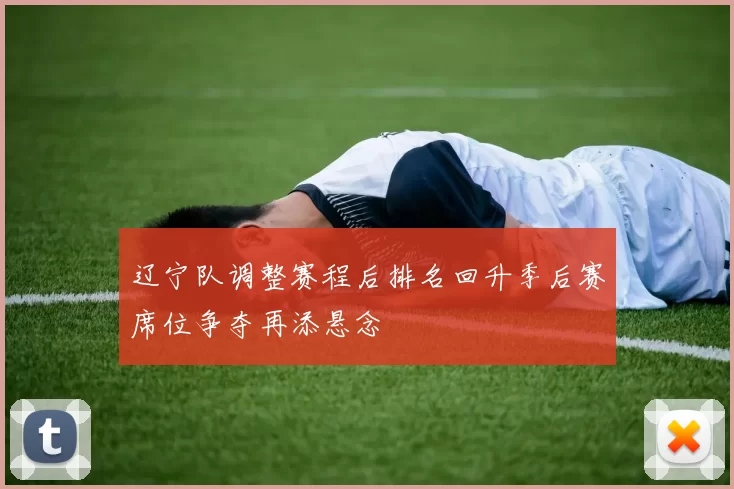 辽宁队调整赛程后排名回升季后赛席位争夺再添悬念