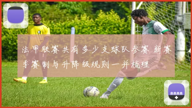 法甲联赛共有多少支球队参赛 新赛季赛制与升降级规则一并梳理