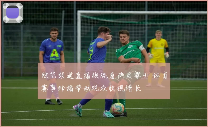 综艺频道直播线观看热度攀升 体育赛事转播带动观众收视增长