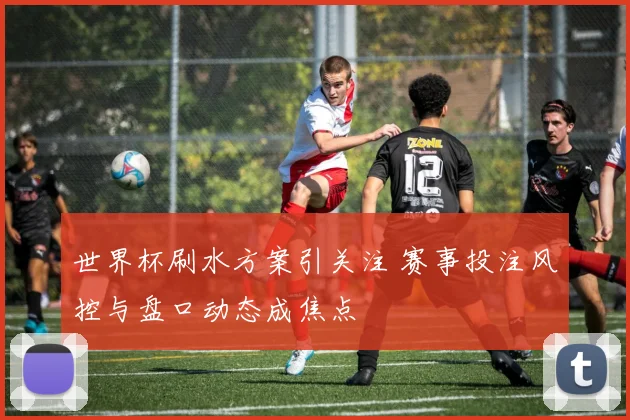 世界杯刷水方案引关注 赛事投注风控与盘口动态成焦点