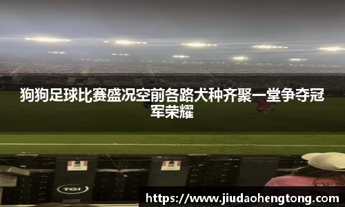 芒果体育