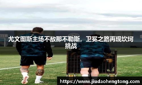 芒果体育直播